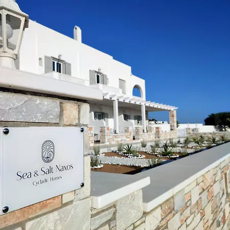 Sea And Salt Naxos 2 Apartamento *